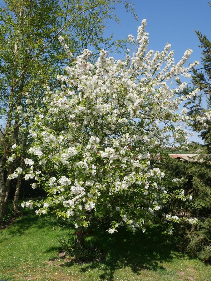 Opale Des Caps Bed and Breakfast Leubringhen Εξωτερικό φωτογραφία